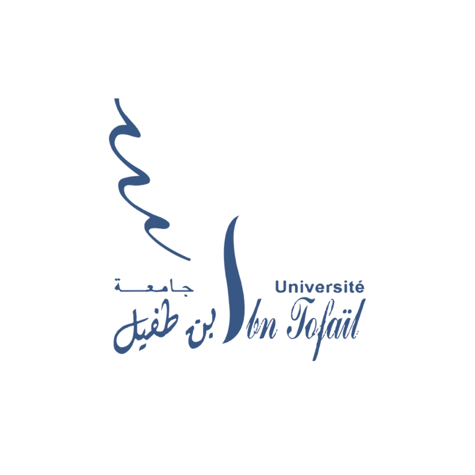 Earthy Neutral Question Hobby Icon Instagram Post (8)