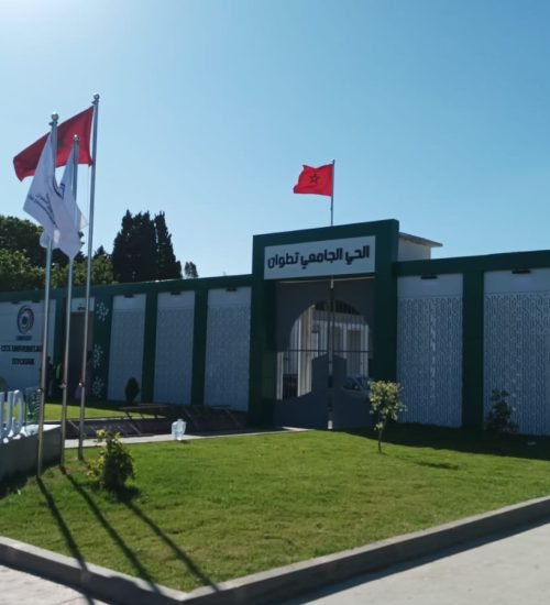 WhatsApp Image 2025-08-04 at 14.50.31 (4)